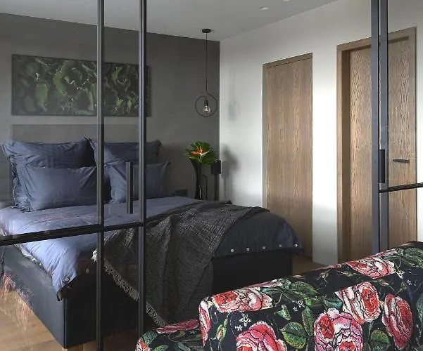 Jaukus Butas Senamiestyje Su Vaizdu I Jono Kalneli *