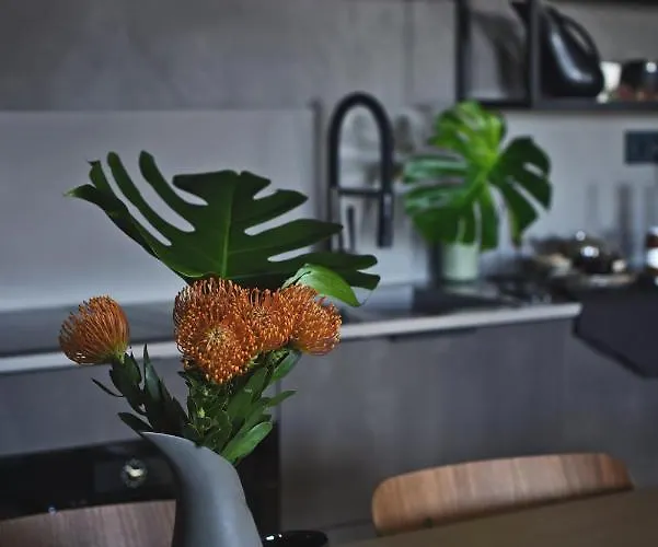 Jaukus Butas Senamiestyje Su Vaizdu I Jono Kalneli